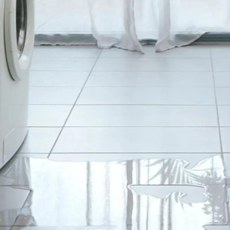 Appliance Leak Cleanup in Lake Geneva, WI