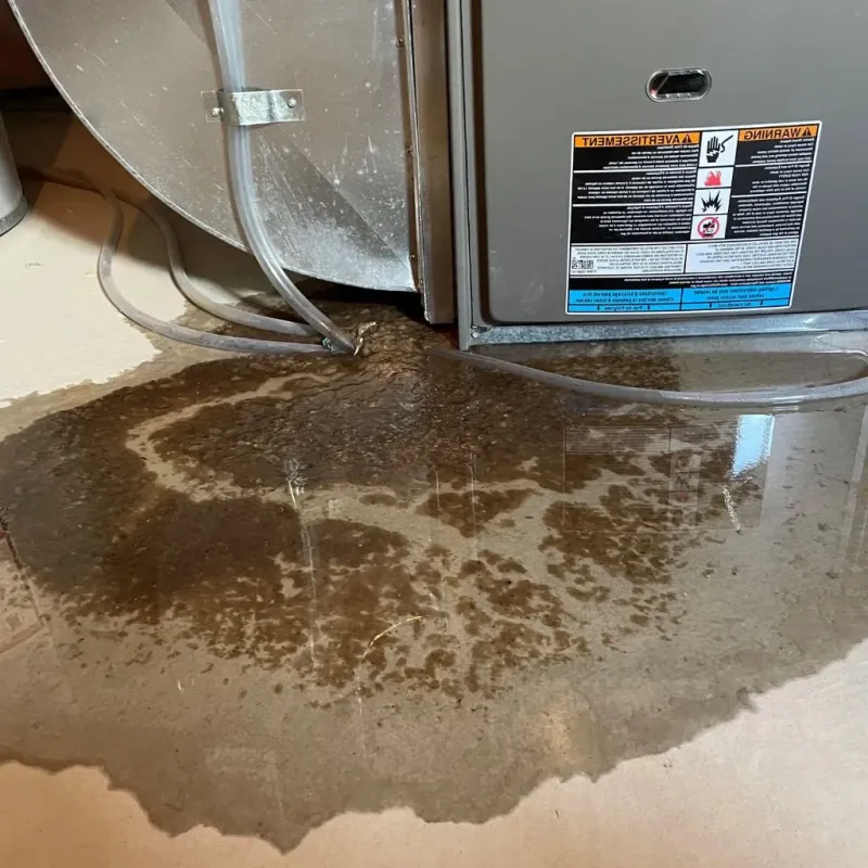 Pipe Burst and Leak Restoration in Lake Geneva, WI
